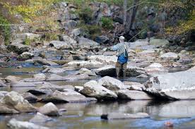 We enjoyed the pool table and foosball table. 12 Top Rated Fly Fishing Destinations In Tennessee Planetware