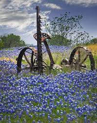 48 Abandoned Ideas Abandoned Abandoned Places Abandoned Buildings