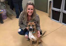 Visit petsmart's everyday dog or cat adoption centers or, at select locations, adopt a variety of small pets or reptiles. All Pets Adopted After Huge Turnout At Minneapolis Clear The Shelter Event Bring Me The News