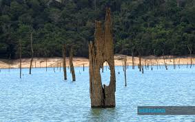 Lokasi casino terbesar ketiga di dunia masih ada di macau, cina. Bernama Tasik Pedu Destinasi Ekopelancongan Penuh Tarikan Mempesona