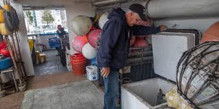 Unlike some other states, however, california does not require llcs to publish their articles of organization in a newspaper in order to finalize llc status. California S Fishing Industry Another Victim Of Coronavirus Including In San Diego