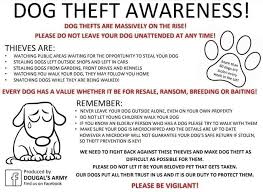 Pawsitive pet carespawsitive pet carespawsitive pet cares. Pawsitive Pet Care Services Home Facebook