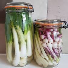 Epingle Sur Aliments Fermentes