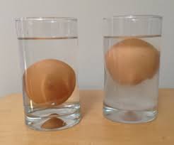 water science experiments