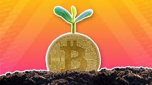 Stay updated with the latest and leading bitcoin news sources from all around the globe on our bitcoin news section. Tech Tent Green Bitcoin And Innovative Engines Bbc News