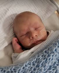 Shelley would like to announce the arrival of baby Felix.