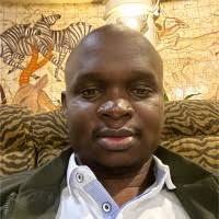 700+ "Kodó" profiles