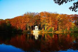 Der Stadtwald In Krefeld Perspektive Krefeld Stadt