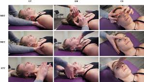 Image result for Musculoskeletal Manipulation