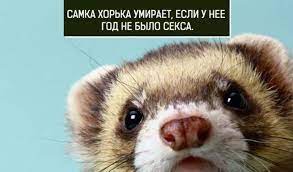 images?q=tbn:ANd9GcR7jsgAa32I6g3LUVh4PWS