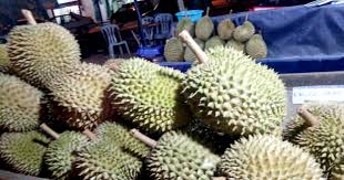 Kemudian, lekatkan hujung tangkai itu pada jejari pendingin hawa kereta anda. Cara Menghilangkan Bau Durian Dalam Kereta