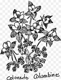 Columbine High School Massacre Colorado Blue Columbine Floral Design Computer Icons Columbine Leaf Branch Monochrome Png Pngwing
