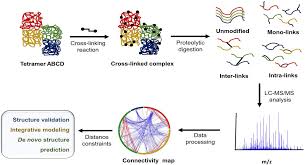 Here's how to get pugneum in no man. Frontiers The Role Of Mass Spectrometry In Structural Studies Of Flavin Based Electron Bifurcating Enzymes Microbiology