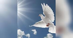 Kenneth William "Donnie" Buzzell Obituary