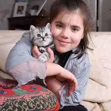 About Catzilla British Shorthairs