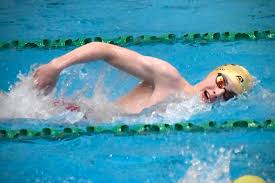 Dexter Swimmers Succeed at State Swim Meets