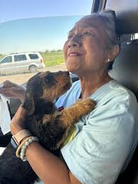 Airedale Terrier breed characteristics and owner experiences