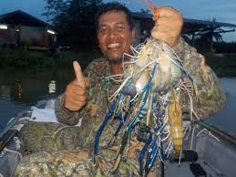 Para pemancing biasanya menggunakan cacing merah atau cacing bakau. Korang Tanya Umpan Jawab Apa Umpan Terbaik Untuk Memancing Udang Umpan