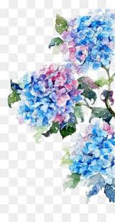 Flowers Png Flowers Transparent Clipart Free Download Lavender Flower Purple Wisteria Painted Lave Free Watercolor Flowers Flower Painting Flower Drawing