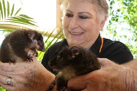 Mandurah Wildlife Rescue