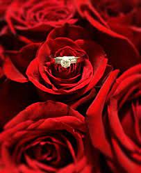 Engagement Ring Pic I Love Red Roses Engagement Engagement Rings Red Roses