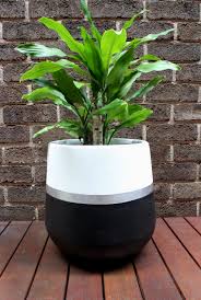 Black And White Flower Pot Hand Painted Lightweight Indoor Plant Pot Black White Silver Etsy Indoor Plant Pots Plant Pot Diy Painted Flower Pots