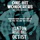 One Hit Wonderers: Playing hits of 60's 70's 80's