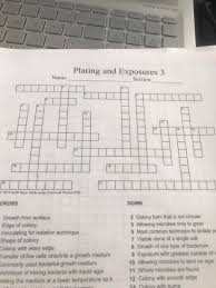 Maybe you would like to learn more about one of these? Hang Lolufsen Plating And Exposures 3 Section Chegg Com