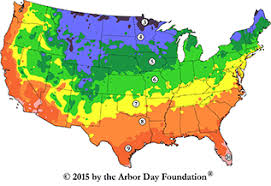 From the sandy, acidic soil of the piney woods along so for example, xeric plants will never be a good choice for rain soaked houston. Tree Hardiness Zones American Heritage Trees