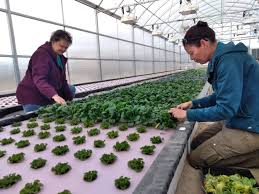 Fish Power Brings Couple Home To Montezuma County