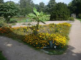 Er trägt die bezeichnung botanischer sondergarten, weil der begriff botanischer garten eine wissenschaftliche begleitung erfordert. Ferienwohnung Wandsbek Hamburg Ferienwohnungen Mehr Fewo Direkt