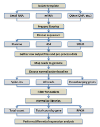 experimental design preprocessing normalization and