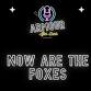 ARMOUR AFTER DARK: Now Are the Foxes Improv — event image