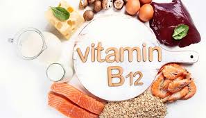 Vitamin B12 sources – SuperGreen TONIK