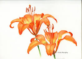 Pin On Flower Art