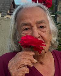 Alme Botânica (@alme.botanica) • Instagram photos and videos