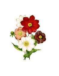 Clipart Floral Illustration Vintage Floral Digital Download Etsy Floral Illustration Vintage Floral Illustrations Clip Art
