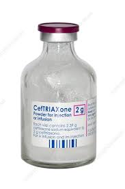 Image result for Ceftriaxone