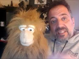 O Macaco Sidónio fica em casa