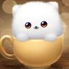 Https Encrypted Tbn0 Gstatic Com Images Q Tbn And9gctw3jm1feh5ho9day8hi1r6qcatgfgrrnse Nwnzf2iv1onndmv Usqp Cau