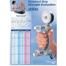 Jamar Grip Strength Norms Wall Chart