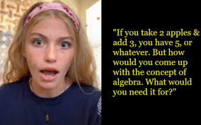 16-YO Asks If Math Is Even Real & Who Came Up With It, Watch Video