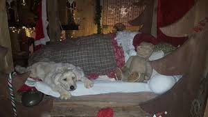 L'association le petit pays vous présente le lieu de vie du père noël. Le Hameau Du Pere Noel Picture Of Le Hameau Du Pere Noel Saint Blaise Tripadvisor