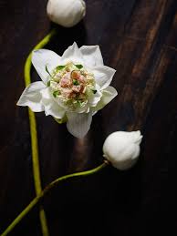 by henrik yde andersen of kiin kiin in copenhagen c kiin kiin see more at http theartofplating com editor thai food photography thai cuisine modern food