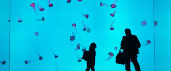 In stage 1, ontario parks opened limited backcountry camping including paddle and portage routes, access points and hiking trails. What S Open For Families During Stage 2 In Toronto The Gta Help We Ve Got Kids