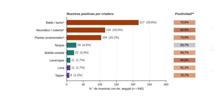 El 44� LIRAa detect� que el 63,9% de los criaderos de mosquitos corresponde a recipientes de uso dom�stico � Enfoque Misiones
