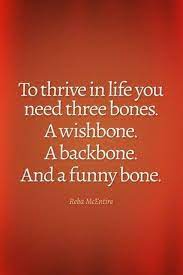 50 Funny Inspirational Quotes That Will Laugh You Hilarious 23 Funny Inspirational Quotes Funny Quotes Super Funny Quotes
