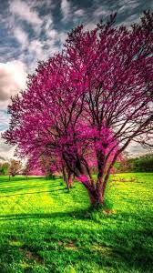 Download Nature Wallpaper By Chicoidol4 4d Free On Zedge Now Browse Millions Of Popular Nature Wallp Beautiful Nature Nature Wallpaper Nature Photography