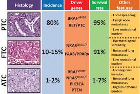 Patients with papillary thyroid cancer larger than 4 cm in size, extrathyroid invasion (i.e. Key Signaling Pathways In Thyroid Cancer In Journal Of Endocrinology Volume 235 Issue 2 2017