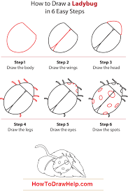 The tutorial is divided into 7 different parts (steps) in order to achieve a fully functional php crud. Ladybug Drawing Step By Step At Paintingvalley Com Explore Collection Of Ladybug Drawing Step By Step